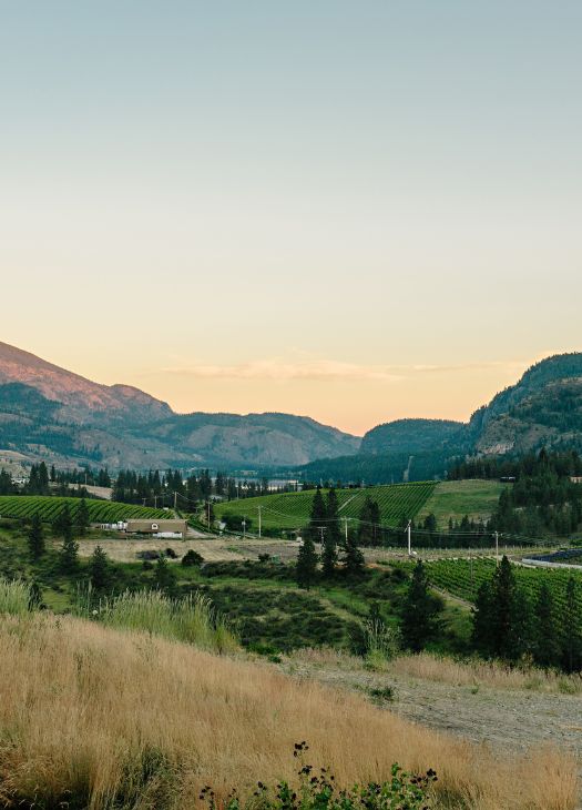 Liquidity Winery - Okanagan Falls